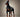 Know Your Breed - Doberman Pinscher
