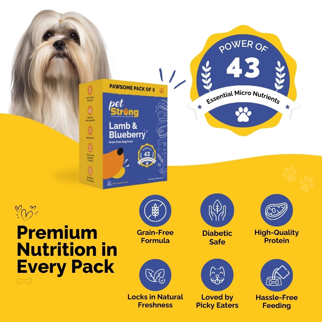 Lamb and Blueberry Trial Pack, 100/300g, Pack of 2 - Grain Free Fresh Food For Dogs