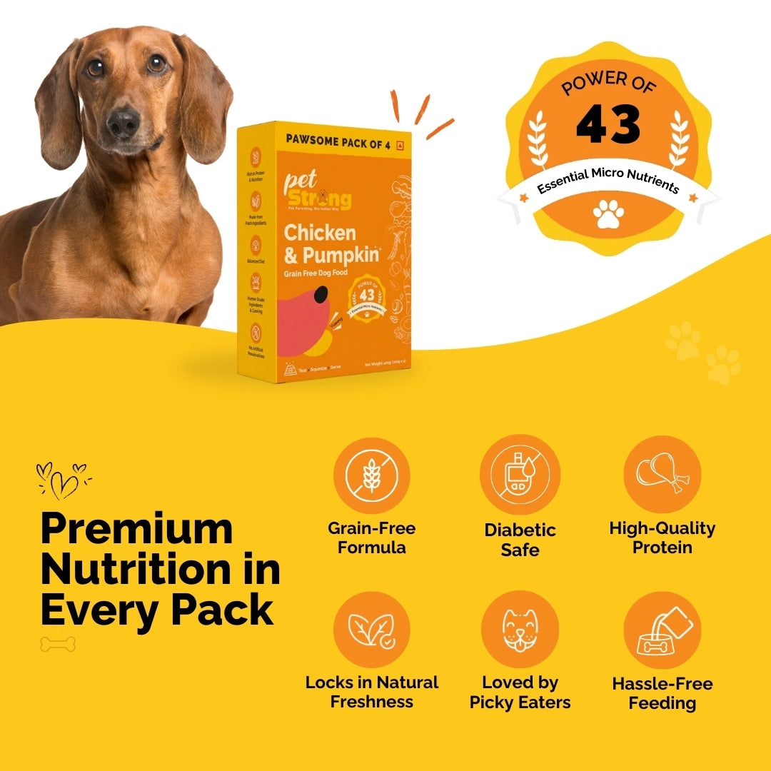 Chicken and Pumpkin Trial Pack, 100/300g, Pack of 2 - Grain Free Fresh Food For Dogs